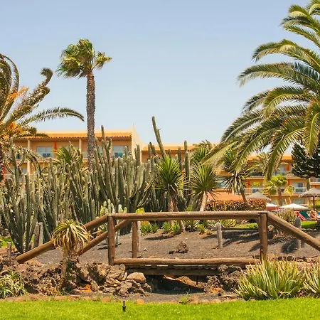 Apartamento Castillo Mar 87