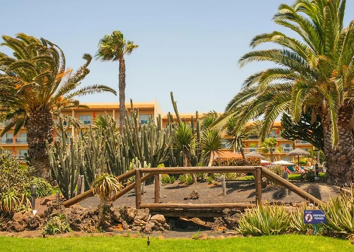 Daire Castillo Mar 87