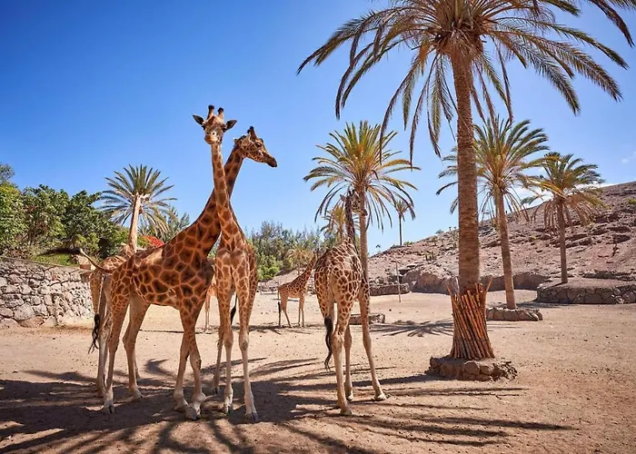 Castillo Mar 87 Daire Caleta De Fuste