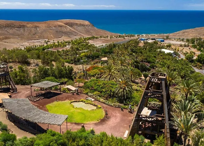 Daire Castillo Mar 87 *